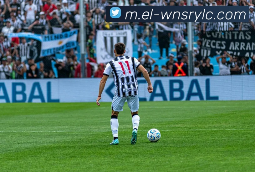 威尼斯人线上娱乐平台生态图